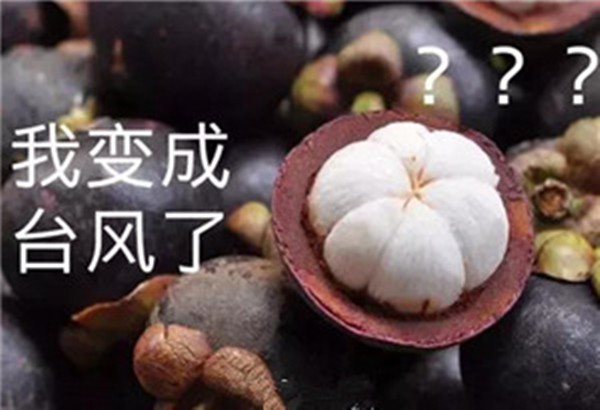 “山竹”還未走遠，但貝朗全自動彎線機已正常上班啦！