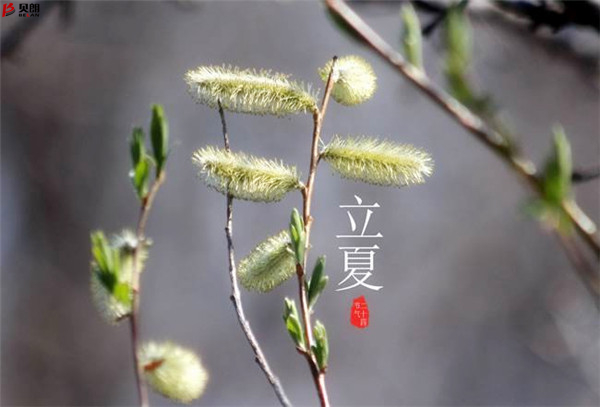 二十四節(jié)氣立夏，那些您不知道的習俗